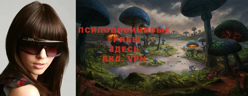 Псилоцибиновые грибы Magic Shrooms  Карачаевск 